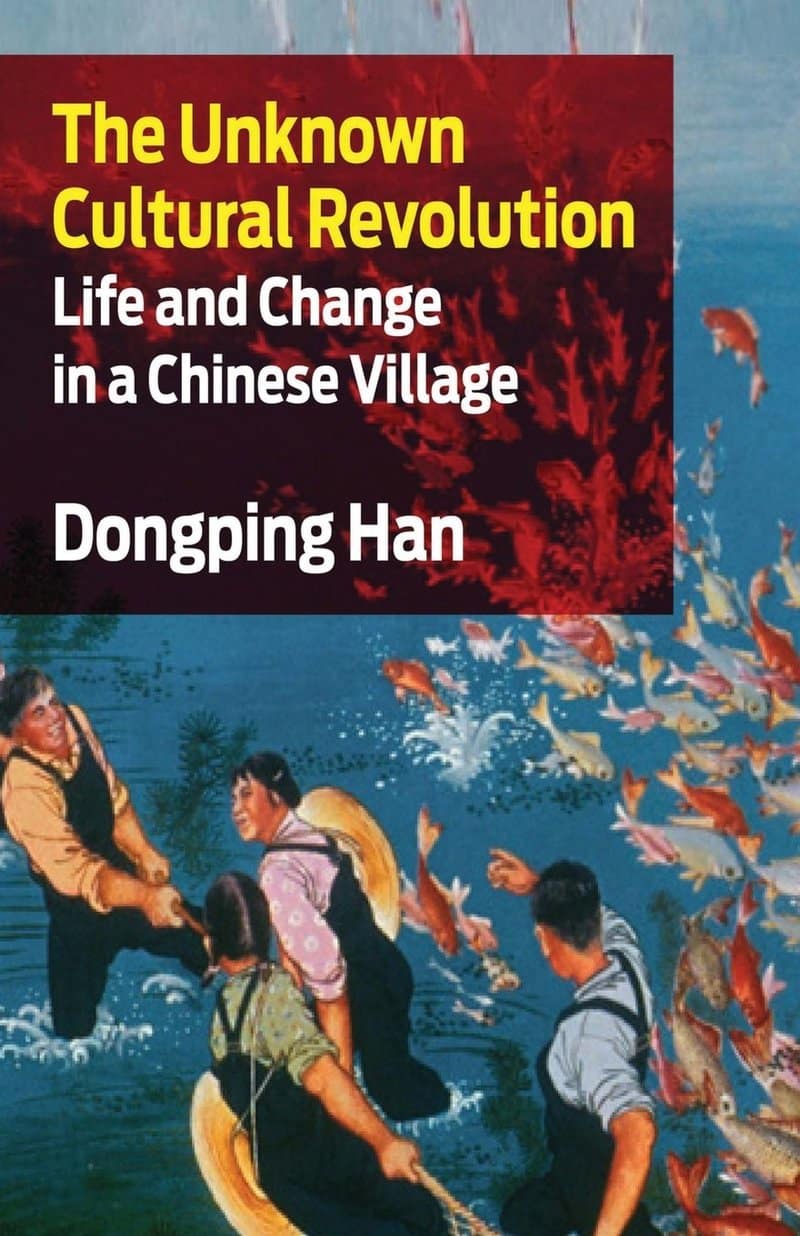 The Unknown Cultural Revolution: Life and Change in a Chinese Village