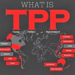 What is the TPP?
