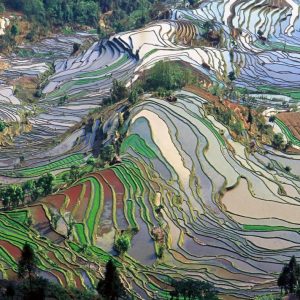 Terrace field in Yunnan China
