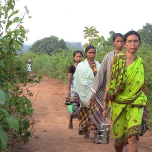 Women on their way to harvest rice in the Rayagada district of Odisha. Photo by Debaranjan Sarangi.