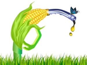 14698864 - corn stalk ethanol gas pump with butterfly on white background