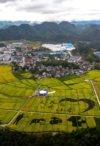 Rice fields in Jiande city, Zhejiang province, Sept 17, 2020