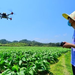 A drone applying pesticide on a field in Huichang, Jiangxi province