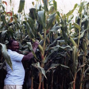 Nicholas Mukomberanwa on his farm